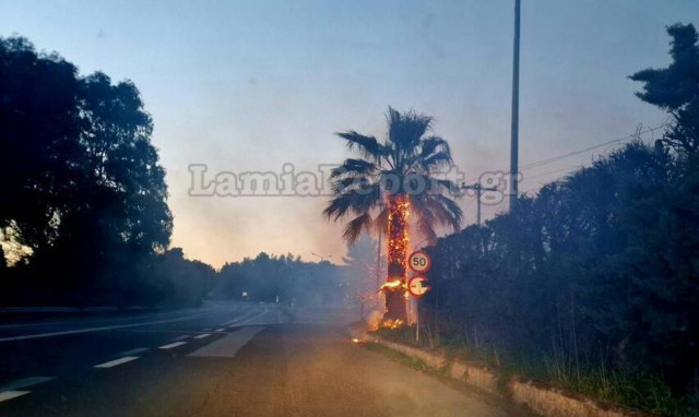 Φθιώτιδα: Κινδύνευσε από πυρκαγιά το ξενοδοχείο «Λεβέντης»