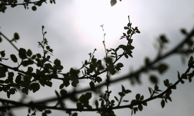 Καιρός: Πτώση της θερμοκρασίας την Κυριακή