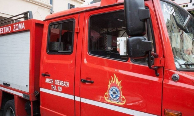 Συναγερμός στη Βοιωτία: Φωτιά σε αγροτοδασική έκταση - Επιχειρούν 18 πυροσβέστες