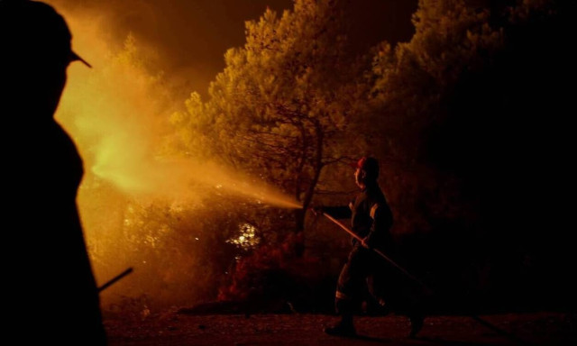 Wildfire burns through forest hill in Ilia prefecture