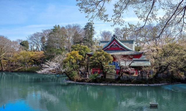 O Έλληνας καθηγητής που λάτρεψε το Τόκυο και οι viral αναρτήσεις του που έγιναν βιβλίο στο Νewsbomb