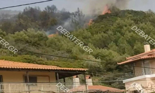 Ηλεία: Ο πρόεδρος της κοινότητας Λιβαδάκι για τη φωτιά – «Κάποιος έκαιγε κλαδιά στο κτήμα του»