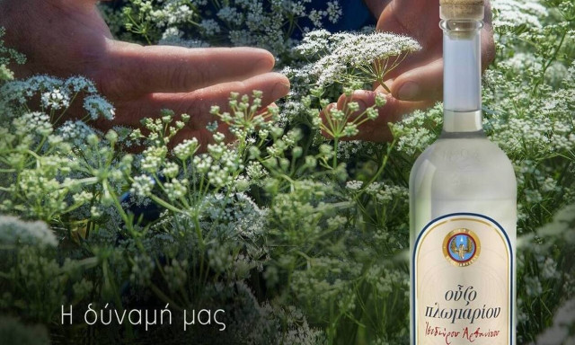 Το Λισβόρι της Λέσβου ήδη μοσχοβολά γλυκάνισο