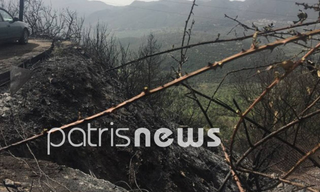 Ηλεία: Συνελήφθη άνδρας για την πυρκαγιά στο Λιβαδάκι – Έγιναν «στάχτη» 3.000 στρέμματα