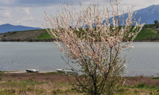 Κοζάνη: Ψαράς παρασύρθηκε στη λίμνη Πολυφύτου