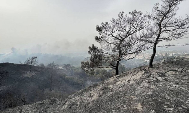 Ρόδος: 47χρονος Αλβανός ο δράστης της φωτιάς στη Σορωνή
