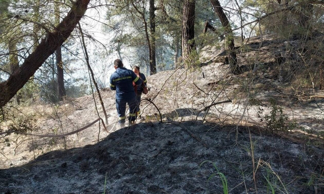 Φωτιά τώρα στη Χαλκιδική: Ισχυρές δυνάμεις συνεχίζουν στη μάχη της κατάσβεσης