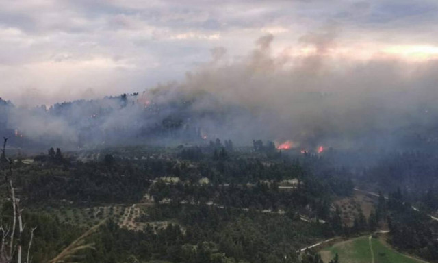 Χαλκιδική: Σε ύφεση η μεγάλη φωτιά - Ξεκίνησε από ιδιώτη που έκαιγε κλαδιά