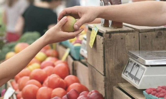 ΟΠΕΚΕΠΕ: Μέσω gov.gr οι αιτήσεις για την ενιαία ενίσχυση των αγροτών - Πότε ανοίγει η πλατφόρμα