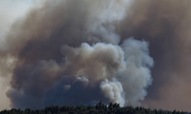 Χαλκιδική: Υπό μερικό έλεγχο η φωτιά στη Μόλα Καλύβα