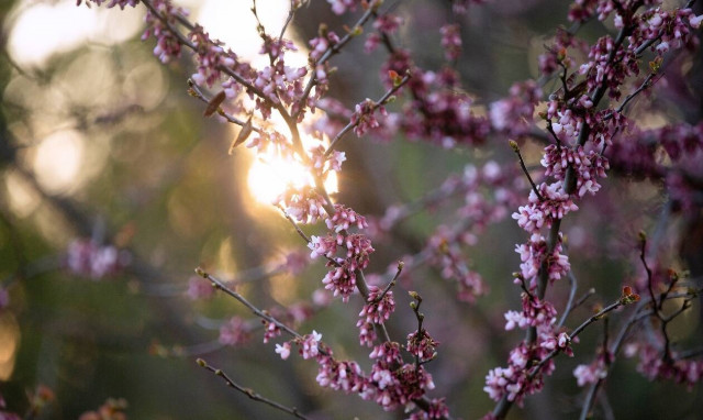 Γιαννόπουλος στο Newsbomb.gr: Τι καιρό θα κάνει την Μεγάλη Εβδομάδα