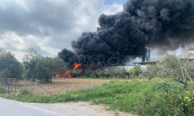 Μεγάλη φωτιά στις Αχαρνές – Ισχυρές δυνάμεις της πυροσβεστικής στο σημείο