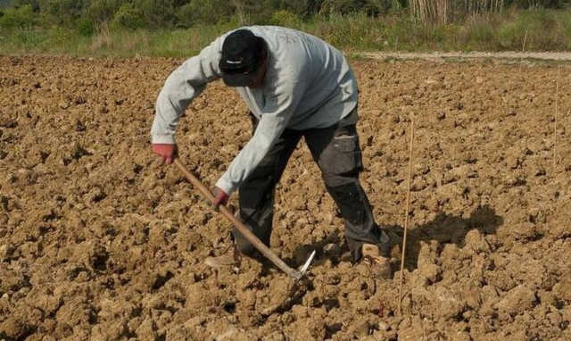 Αγροτικές ενισχύσεις: Πότε και ποιοι θα πληρωθούν - Το χρονοδιάγραμμα καταβολών του ΟΠΕΚΕΠΕ