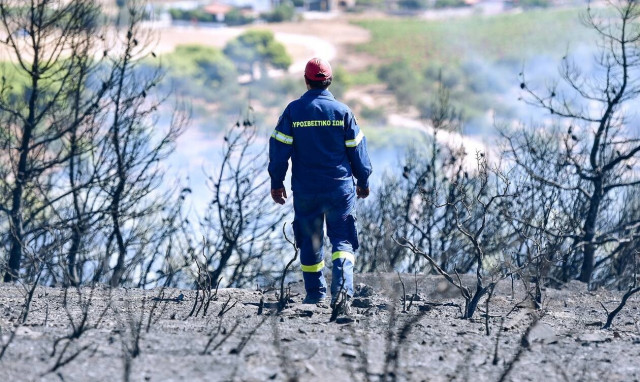 Από τις αρχές του έτους έχουν ξεσπάσει 30 δασικές πυρκαγιές στην Ελλάδα