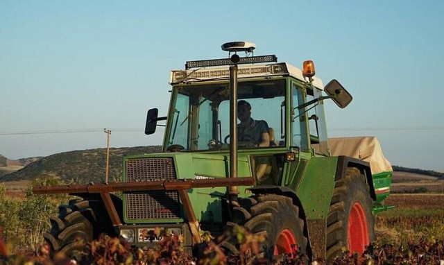 ΟΠΕΚΕΠΕ: Πότε και ποιοι θα λάβουν αγροτική επιδότηση - Ανοιχτή η πλατφόρμα αιτήσεων