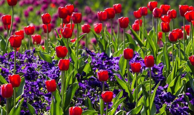 Πρωτομαγιά 2022: Μετακινείται η αργία – Πώς πληρώνονται οι εργαζόμενοι