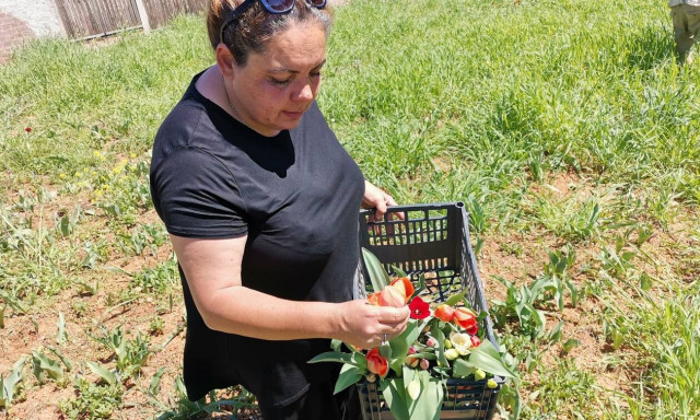 Μαρίνα Μόσχου: Η τελευταία ανθοκόμος στην Αττική που μένει όρθια παρά τις φωτιές και τα χιόνια