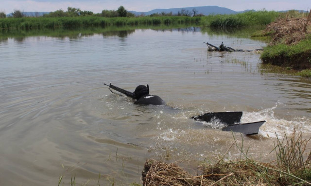 Πυροβολισμοί στον Έβρο: Πώς έγινε το επεισόδιο - Πώς έπεσε νεκρή μία γυναίκα