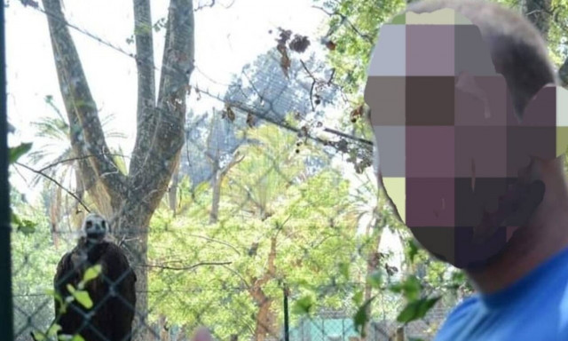 Κύκλωμα κεταμίνης: Τι αναφέρουν οι καταθέσεις - Έπαιρναν 25 ευρώ για κάθε δέμα