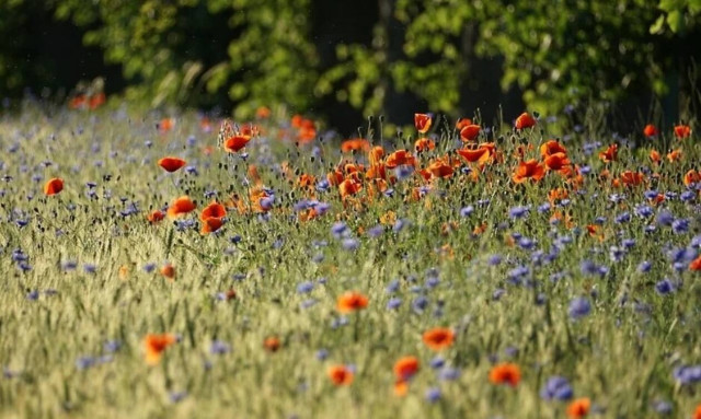 Καιρός: Μεγάλο Σάββατο με 25άρια και λασποβροχές