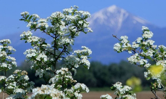 Ο καιρός σήμερα, Κυριακή του Πάσχα