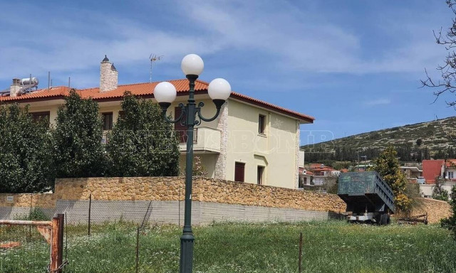 Δολοφονία Σκαφτούρου: Πολλά και διαμπερή τα τραύματα – «Οι δράστες έφυγαν προς το δάσος»