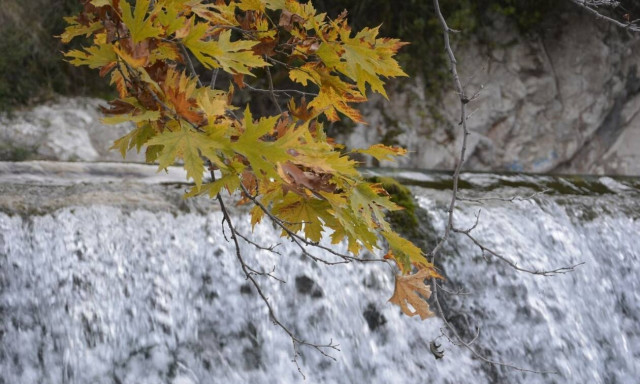 Βαρσαμία Ζαγγογιάννη: Αναδεικνύει μέσα από τη φωτογραφία την ιστορία του «ξεχασμένου» Γοργοποτάμου