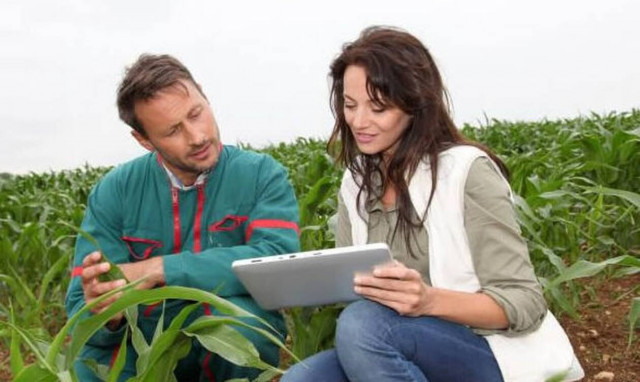 ΕΛΓΑ: Νέες θέσεις εργασίας - Ειδικότητες και ποιες περιοχές