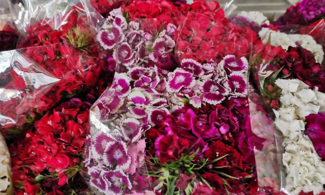 Βγαίνοντας από τη ναφθαλίνη... γιορτάζοντας την Πρωτομαγιά