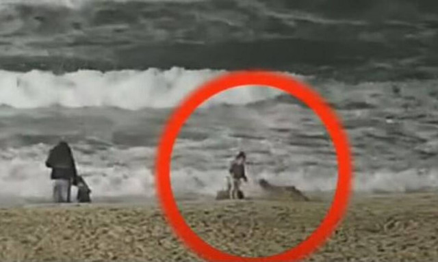 ΗΠΑ: Κογιότ επιτέθηκε σε κοριτσάκι - Μεταφέρθηκε με σοβαρά τραύματα στο νοσοκομείο (vid)