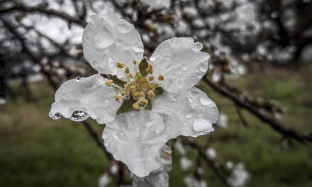Καιρός Πρωτομαγιά: Με βροχές και καταιγίδες θα φτιάξουμε το μαγιάτικο στεφάνι