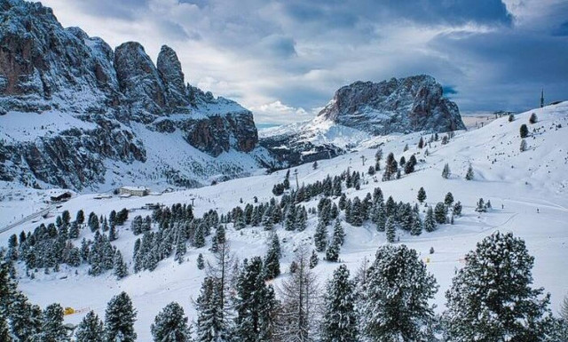 ΗΠΑ: Απίστευτη περιπέτεια για 52χρονη - Ήταν επί έξι ημέρες εγκλωβισμένη στο δάσος