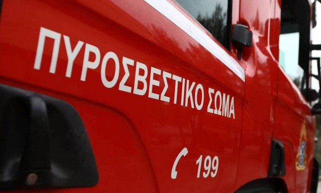 Φωτιά ξέσπασε στο δάσος του Σέιχ Σου