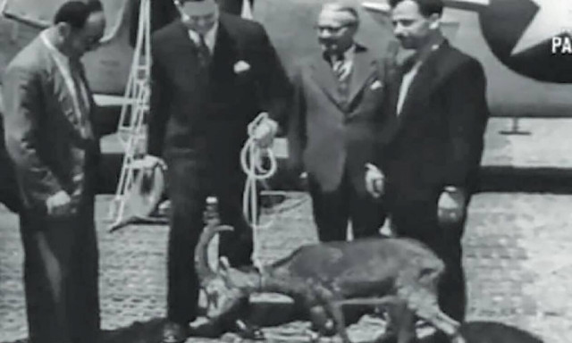 Όταν ο Αμερικανός Πρόεδρος έλαβε δώρο ένα… αγριοκάτσικο από την Κρήτη!