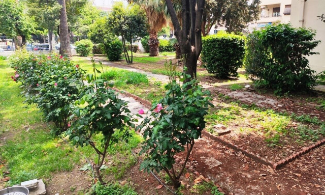 Βόλος: Δηλητηρίασαν τρεις γάτες στο προαύλιο των Δικαστηρίων