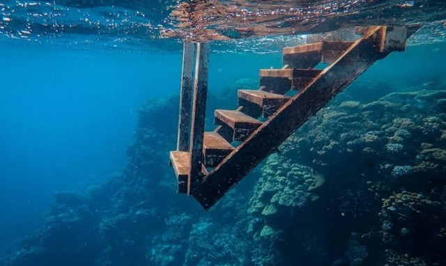 Περιβαλλοντική διάκριση για το Παυλοπέτρι