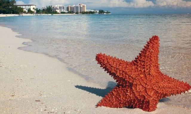 Μπαχάμες: Θρίλερ με τον θάνατο τουριστών σε πολυτελές θέρετρο - «Αρρώστησαν» ξαφνικά και πέθαναν