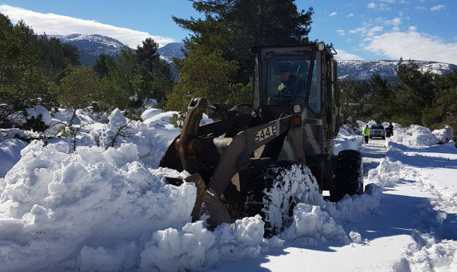 Γεωργαντάς: Πρώτη φορά αποζημιώσεις σε τέσσερις μήνες μετά την καταστροφή