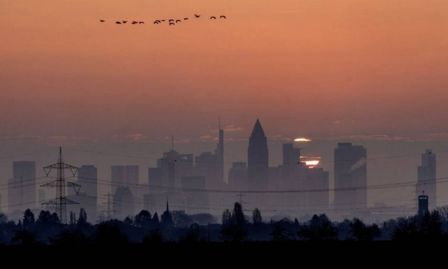 Ινδία: Θρίλερ στο Γκουτζαράτ - Γιατί πέφτουν πουλιά από τον ουρανό
