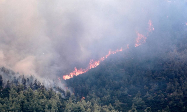 «Η φωτιά έχει δύναμη - Μην την υποτιμάς» - Το νέο σποτ της Πυροσβεστικής για την αντιπυρική περίοδο