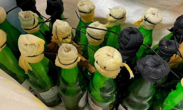 ΑΠΘ: Βρέθηκαν 11 μολότοφ κοντά στη Σχολή Θετικών Επιστημών