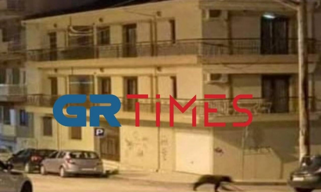 Φλώρινα: Αρκούδα «έκοβε βόλτες» στο κέντρο της πόλης (vid)