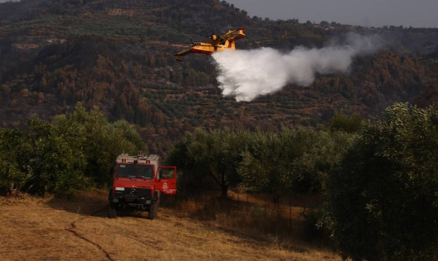 Φωτιά στο Αμόνι Κορινθίας - Καίει δασική έκταση