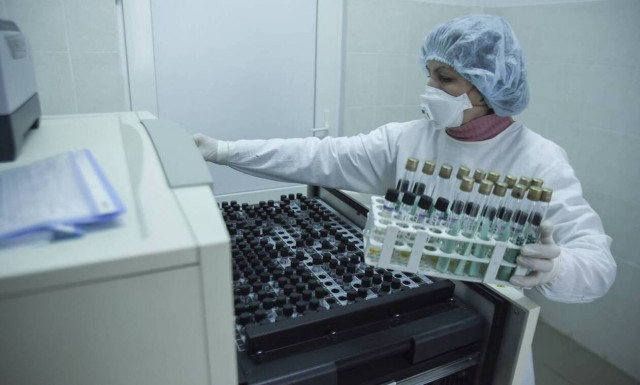 Συναγερμός για την ευλογιά των πιθήκων: Τι πρέπει να γνωρίζετε - Τα συμπτώματα και η αντιμετώπιση