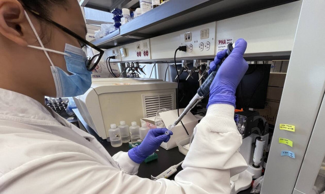 Ευλογιά των πιθήκων: Αυξάνονται τα κρούσματα στην Ευρώπη - Πρώτο επιβεβαιωμένο και στην Ελβετία