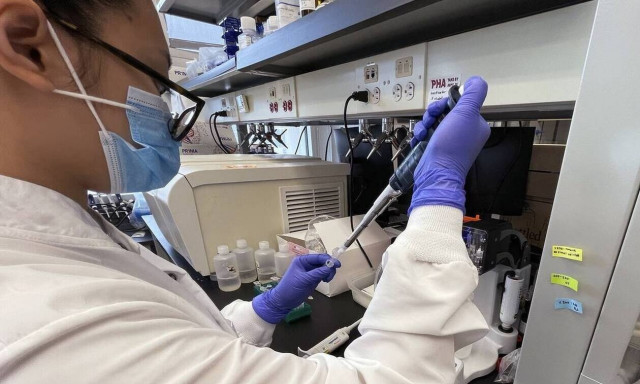 Ευλογιά των πιθήκων: Το Βέλγιο γίνεται η πρώτη χώρα που εισάγει υποχρεωτική καραντίνα στα κρούσματα