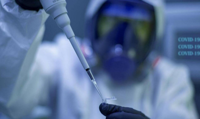 Ευλογιά των πιθήκων: Τα σενάρια για τον προσχεδιασμό έξαρσης ασθενειών και τα πραγματικά δεδομένα