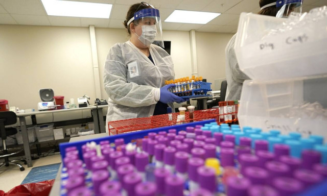 Ανησυχία για την εξάπλωση της ευλογιάς των πιθήκων