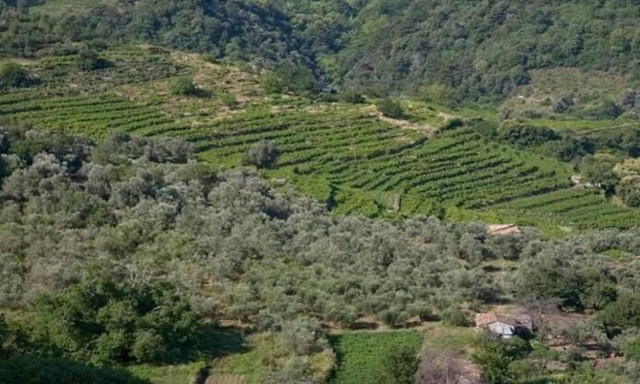 Στις 31 Μαΐου λήγει η προθεσμία υποβολής αντιρρήσεων για τους δασικούς χάρτες στην Κορινθία