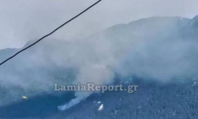 Φωτιά τώρα στην Ιστιαία Εύβοιας